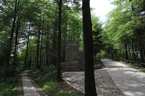 大坑森林公園2.jpg